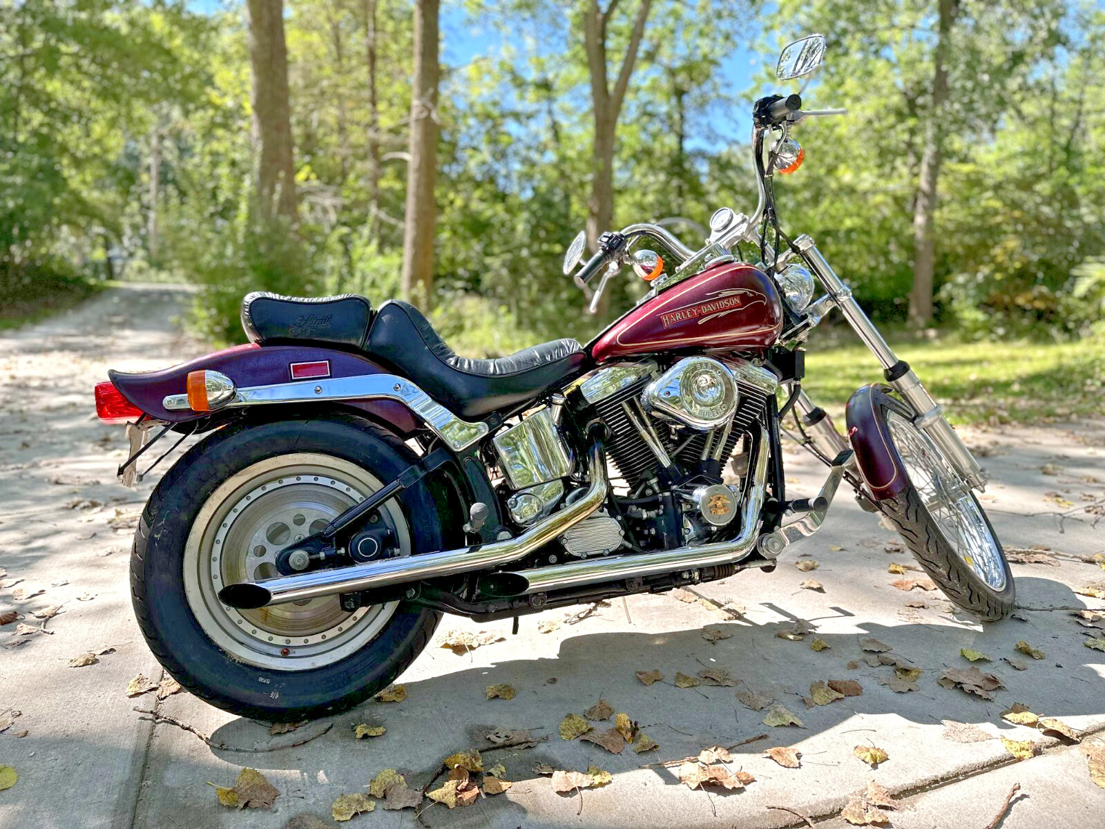 Harley-Davidson-Softail-1990-1