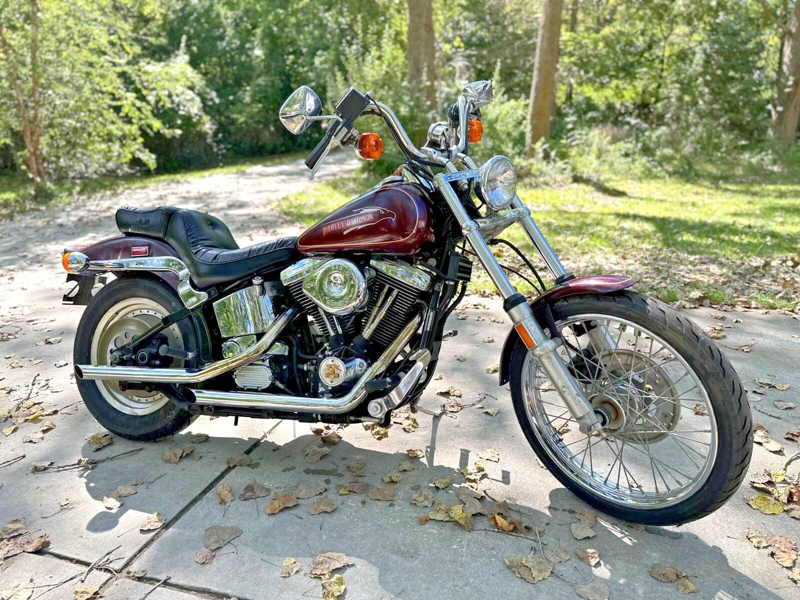 Harley-Davidson-Softail-1990-12