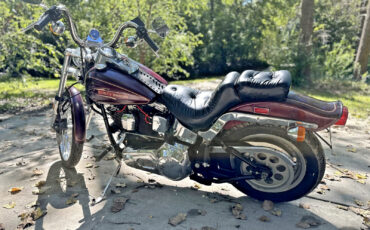 Harley-Davidson-Softail-1990-3