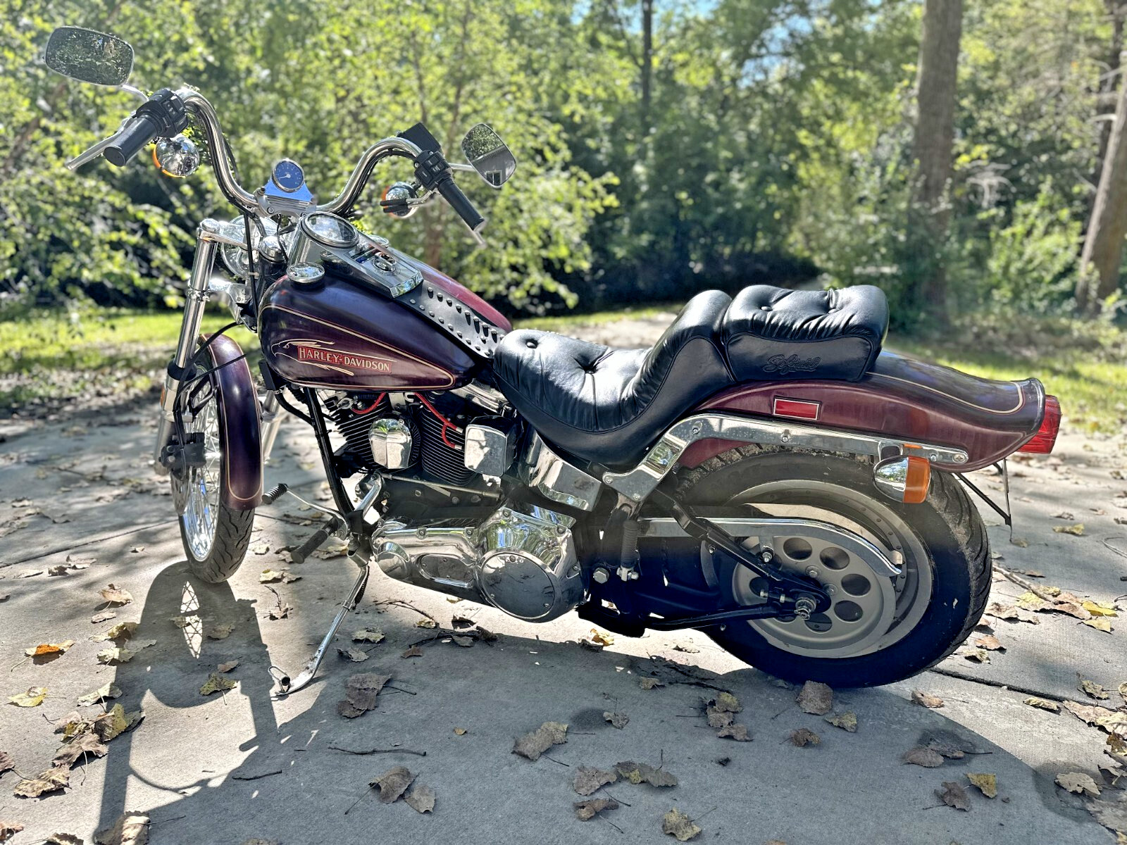 Harley-Davidson-Softail-1990-3