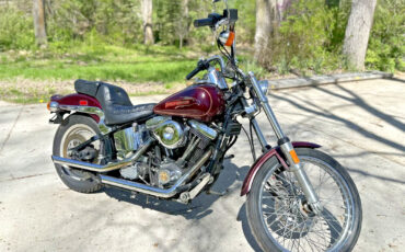 Harley-Davidson-Softail-1990-5