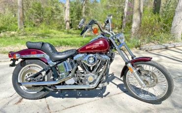 Harley-Davidson-Softail-1990-7