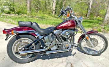 Harley-Davidson-Softail-1990-8