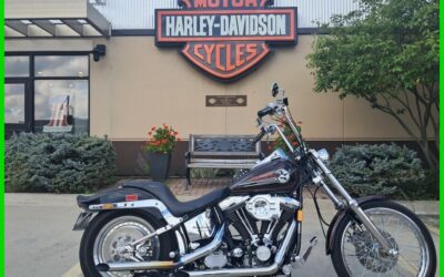 Harley-Davidson Softail 1992