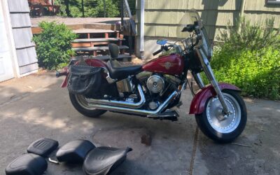 Harley-Davidson Softail 1993