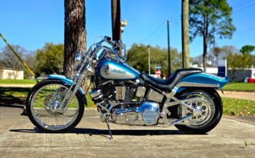 Harley-Davidson-Softail-1994-12