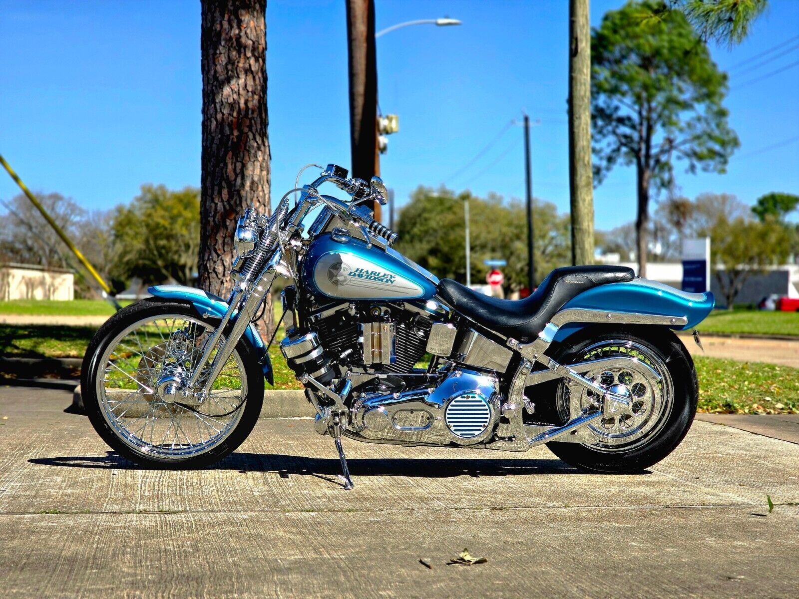 Harley-Davidson-Softail-1994-12