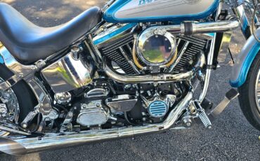 Harley-Davidson-Softail-1994-15