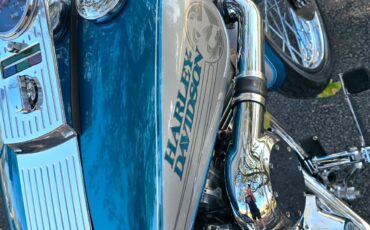 Harley-Davidson-Softail-1994-19