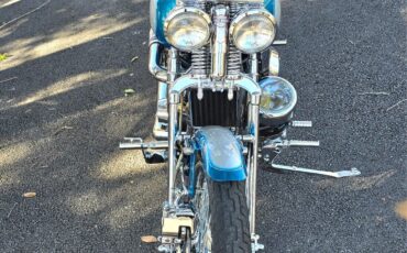 Harley-Davidson-Softail-1994-22