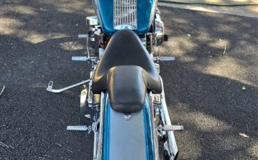 Harley-Davidson-Softail-1994-23