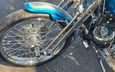 Harley-Davidson-Softail-1994-29