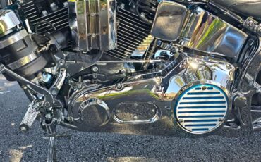 Harley-Davidson-Softail-1994-31