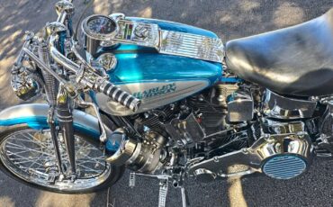 Harley-Davidson-Softail-1994-33