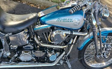 Harley-Davidson-Softail-1994-34