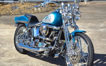 Harley-Davidson-Softail-1994-5