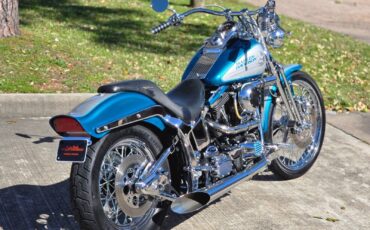 Harley-Davidson-Softail-1994-6