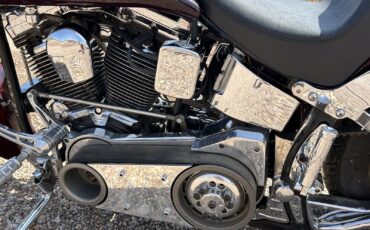Harley-Davidson-Softail-1994-8