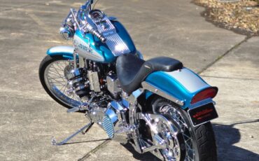 Harley-Davidson-Softail-1994-9
