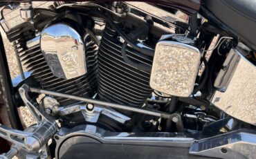 Harley-Davidson-Softail-1994-9