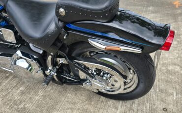 Harley-Davidson-Softail-1995-10