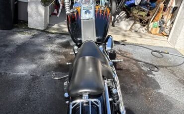 Harley-Davidson-Softail-1995-12