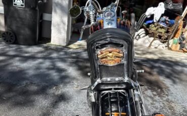 Harley-Davidson-Softail-1995-13