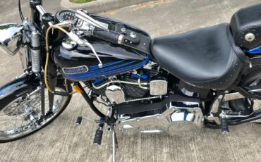 Harley-Davidson-Softail-1995-13