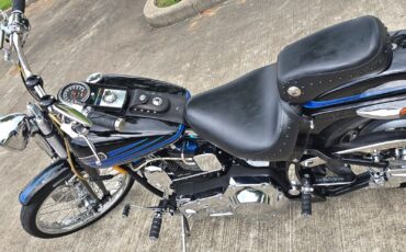 Harley-Davidson-Softail-1995-16
