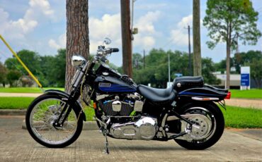 Harley-Davidson-Softail-1995-18