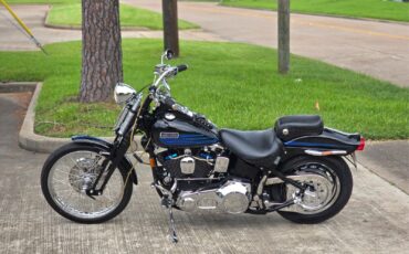 Harley-Davidson-Softail-1995-19