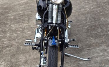 Harley-Davidson-Softail-1995-20