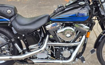 Harley-Davidson-Softail-1995-25