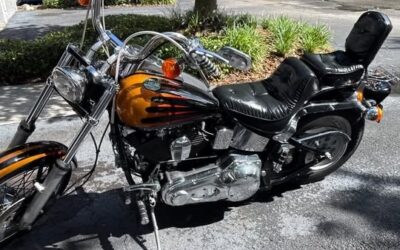 Harley-Davidson Softail 1995