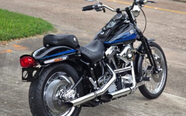 Harley-Davidson-Softail-1995-4