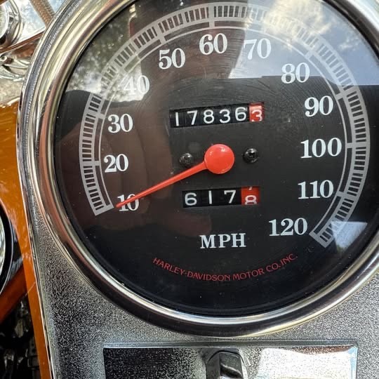 Harley-Davidson-Softail-1995-5