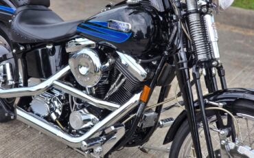 Harley-Davidson-Softail-1995-5