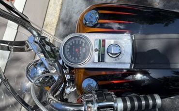 Harley-Davidson-Softail-1995-6