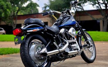 Harley-Davidson-Softail-1995-6