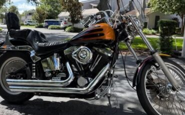 Harley-Davidson-Softail-1995-8