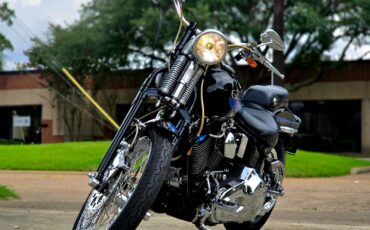 Harley-Davidson-Softail-1995-8