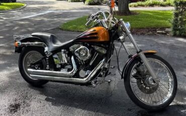 Harley-Davidson-Softail-1995-9