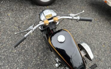 Harley-Davidson-Sportster-1967-5