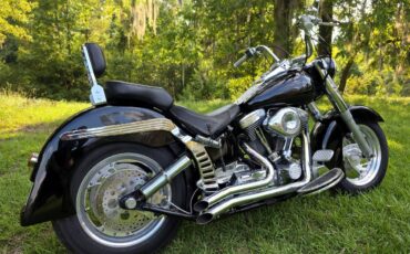 Harley-heritage-softail-flst-1989-1