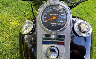 Harley-heritage-softail-flst-1989-10