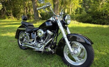 Harley-heritage-softail-flst-1989-11