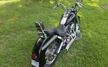 Harley-heritage-softail-flst-1989-2