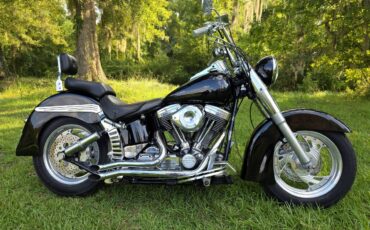 Harley-heritage-softail-flst-1989