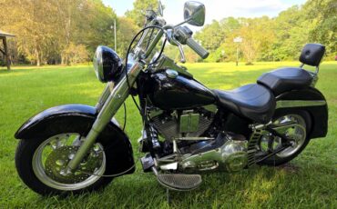 Harley-heritage-softail-flst-1989-4