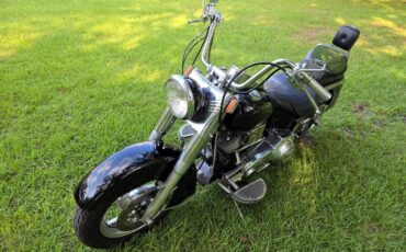 Harley-heritage-softail-flst-1989-5
